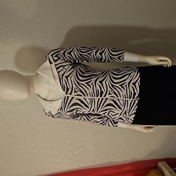 VTG RAVEL Mesh Zebra Print Double Wing Collar Zipper Shacket - Picture 3 of 9